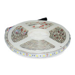 LED traka RGB 12VDC 10W/m 10mm IP65- - - - - - - -
