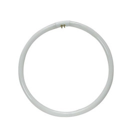 Žarulja fluorescentna 40W CIRCLINE G10q 4000K T5