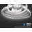 LED traka bijela 6400K 12VDC 11W/m 60LED/m IP20