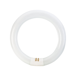Žarulja fluorescentna 22W 6400K G10q T5/865