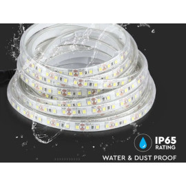 LED traka bijela 6500K 12VDC 8W/m 120LED/m IP65