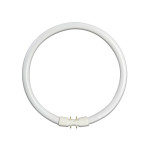 Žarulja fluorescentna 55W CIRCLINE 2Gx13 T5/840