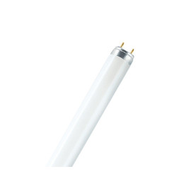 Žarulja fluorescentna 10W 26mm 6500K T8 33cm 