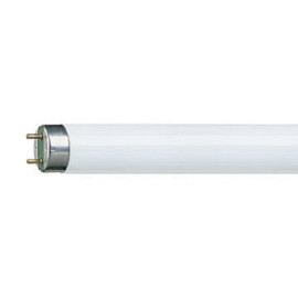 Žarulja fluorescentna 15W 26mm 4000K T8/840 45cm