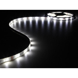 LED traka bijela 6000K 12VDC 4,1W/m 10mm IP61