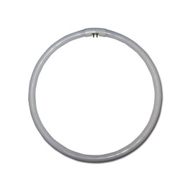 Žarulja fluorescentna 32W CIRCLINE G10q T6 / 840