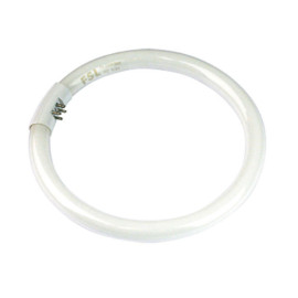 Žarulja fluorescentna 22W CIRCLINE G10q T5/840  
