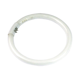 Žarulja fluorescentna 22W CIRCLINE G10q T5/840  