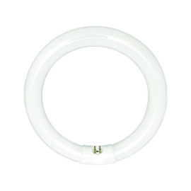 Žarulja fluorescentna 32W CIRCLINE G10q T9 4000K