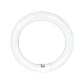 Žarulja fluorescentna 32W CIRCLINE G10q T9 4000K