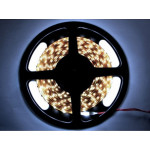 LED traka bijela 6000K 12VDC 4,8W/m 8mm IP20
