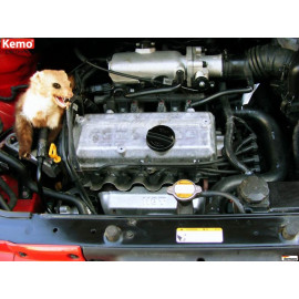 Modul rastjerivač kuna za auto M180 IP65 Kemo
