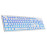 Tipkovnica USB Everest KB-840 LED osvj.; bijela