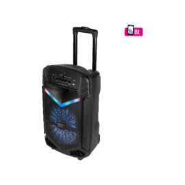 Zvučnik bluetooth prijenosni 60W PAR 30BT- - - - -