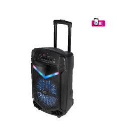 Zvučnik bluetooth prijenosni 60W PAR 30BT- - - - -