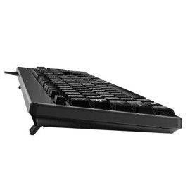 Tipkovnica USB Genius KB-116 II crna